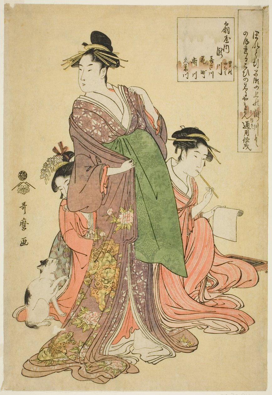 Tee Ogiya