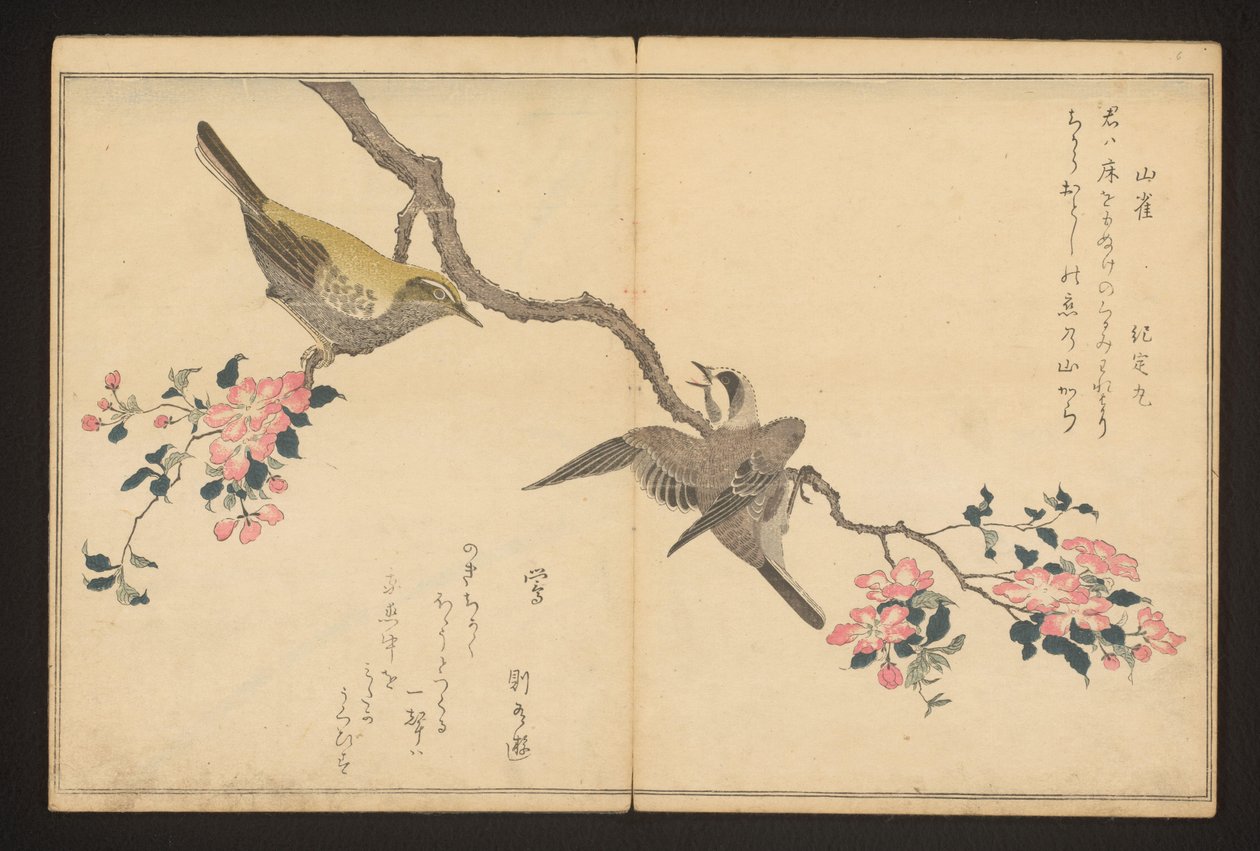 baştankara ve çalı ötleğen by Kitagawa Utamaro
