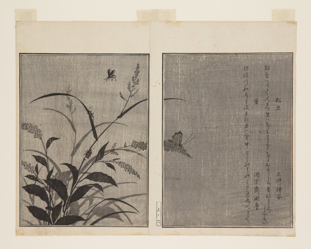 Cricket (Matsumushi) ve Firefly (Hotaru) (renkli tahta baskı) by Kitagawa Utamaro