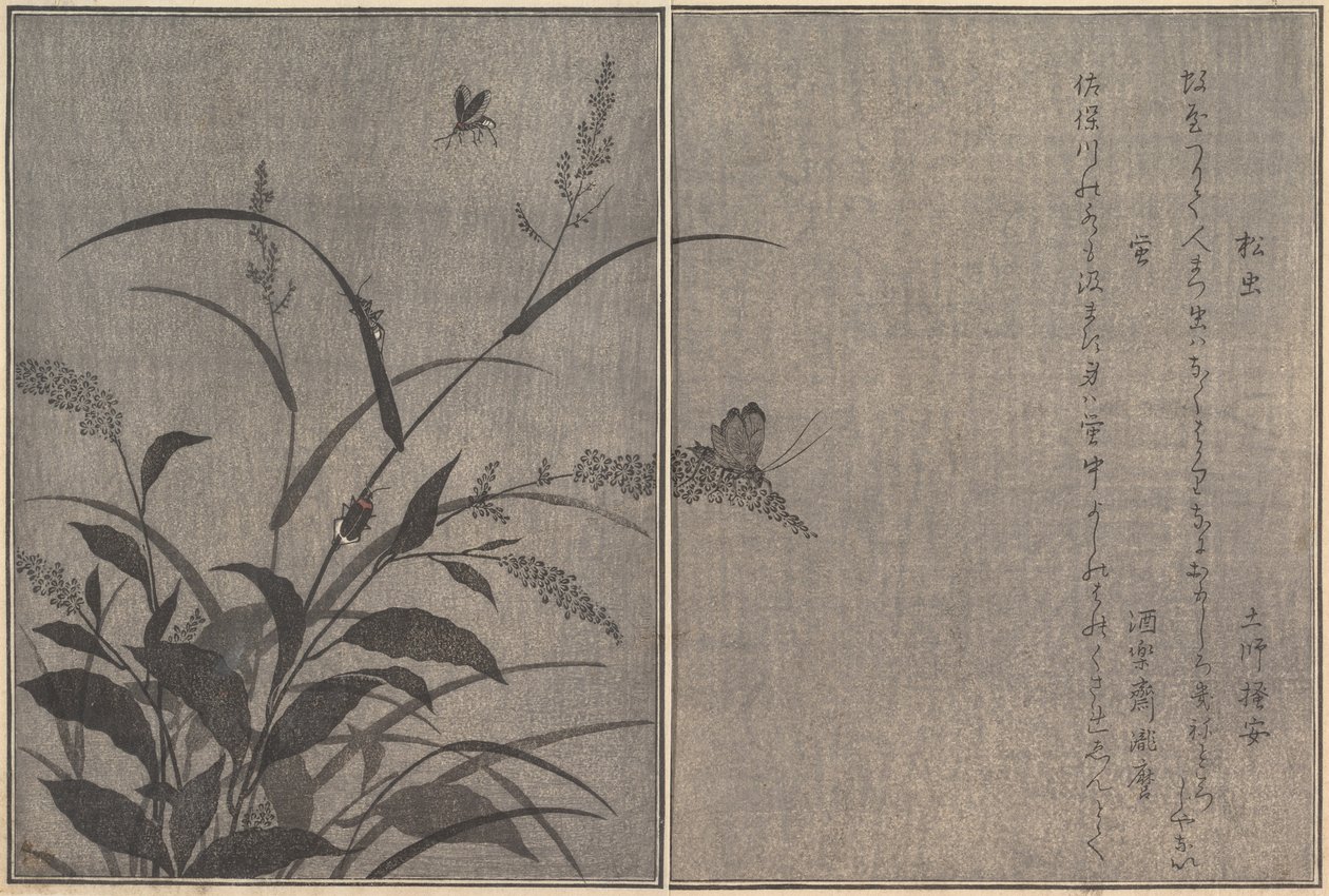 Ağaç kriket Matsumushi, Ateşböceği Hotaru..., 1788. by Kitagawa Utamaro