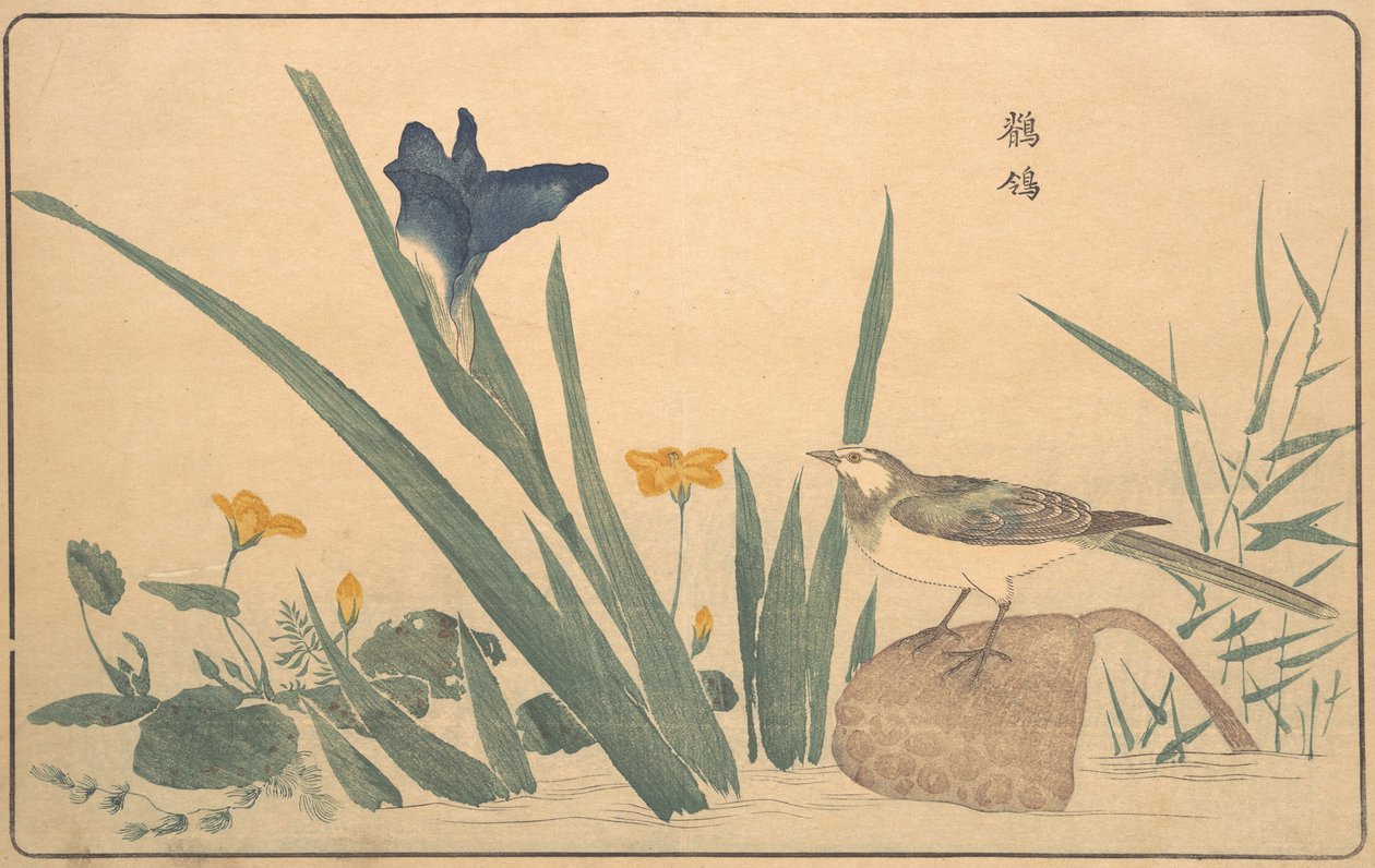 Alaca Kuyruklu Kuyruk, 1789. by Kitao Masayoshi