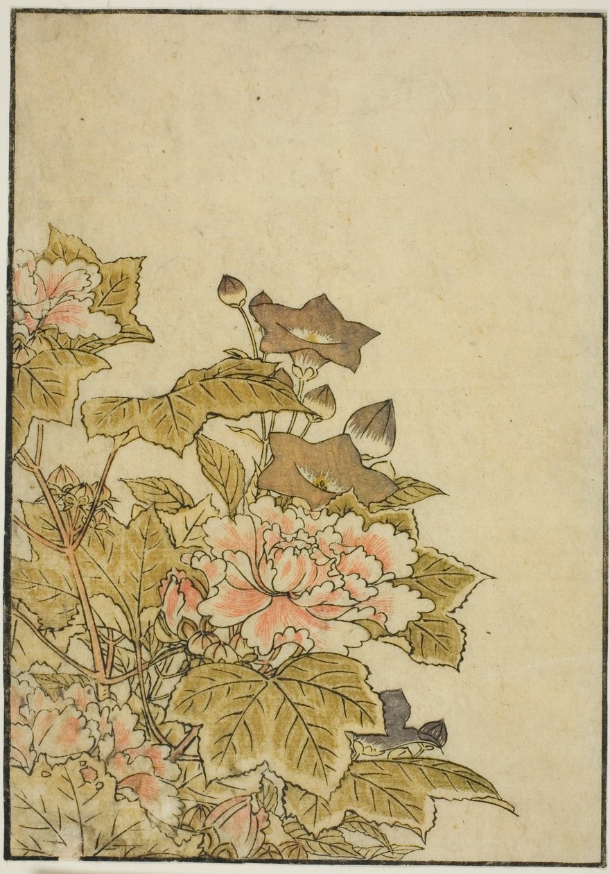 Sonbahar Çiçekleri: Peonies and Bellflowers, "Zevk Alanlarının Güzel Kadınlarının Aynası (Seiro bijin awase sugata kagami)" kitabından, cilt. ２ by Kitao Shigemasa