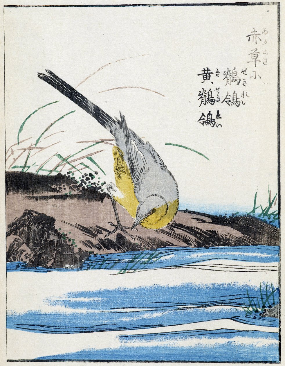 Kuş. Kitao Kosuisai tarafından Japon çizimi by Kitao Shigemasa