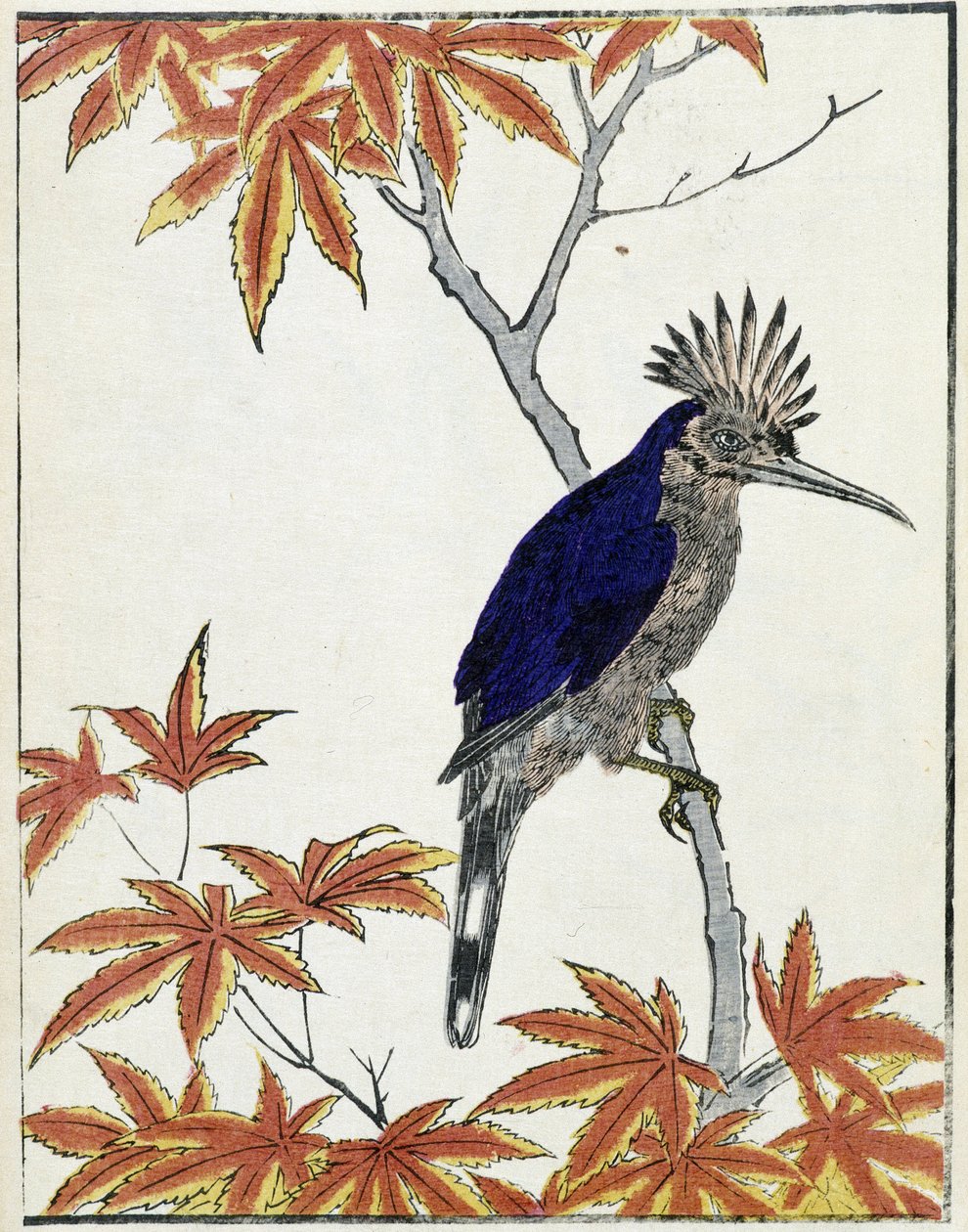 Ağaçtaki kuş. Kitao Kosuisai tarafından Japon çizimi by Kitao Shigemasa