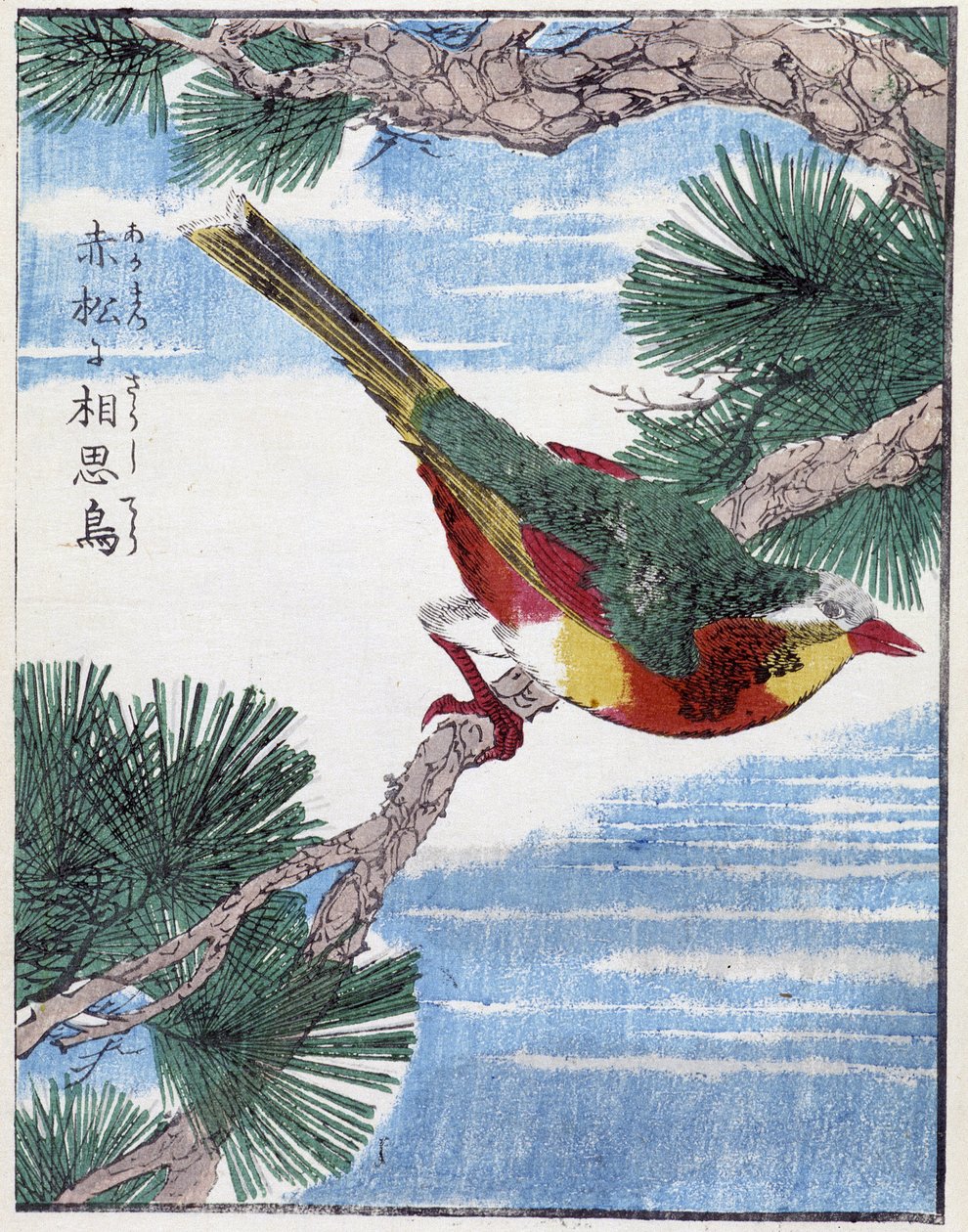 Ağaçtaki kuş. Kitao Kosuisai tarafından Japon çizimi by Kitao Shigemasa