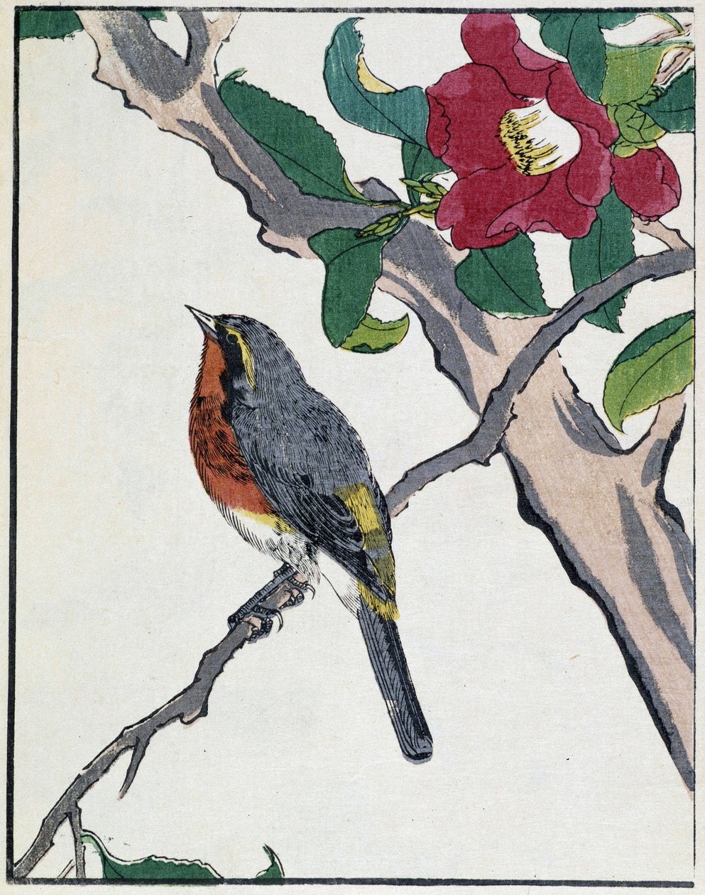 Kitao Kosuisai tarafından Japon çizimi by Kitao Shigemasa