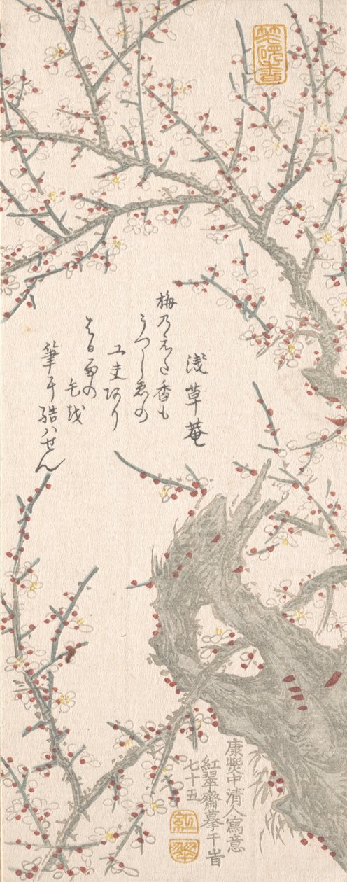 Blossom