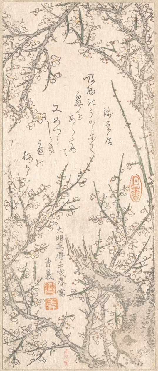Blossom