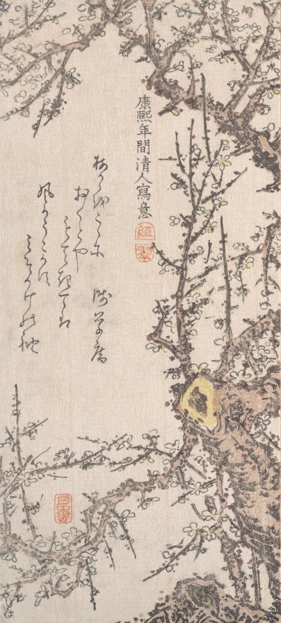 Blossom