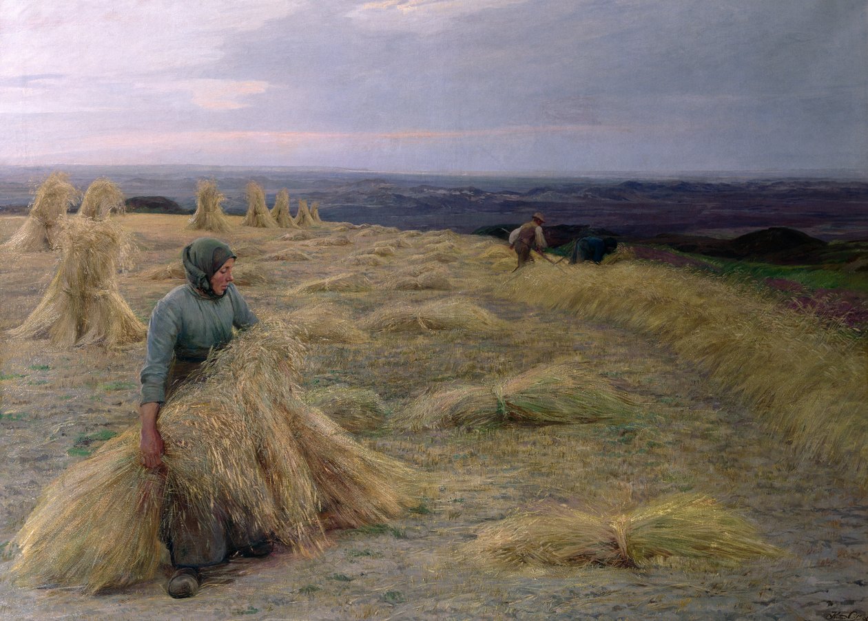 Biçerdöverler, Svinklov-Viildemosen, Jutland by Knud Larsen