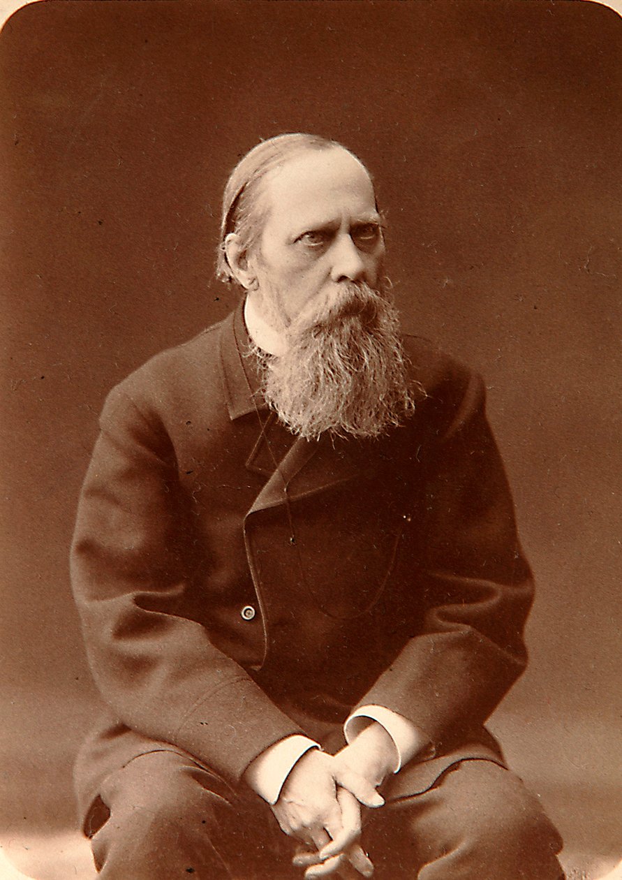 Mikhail Saltykov-Shchedrin, Rus yazar, 1880