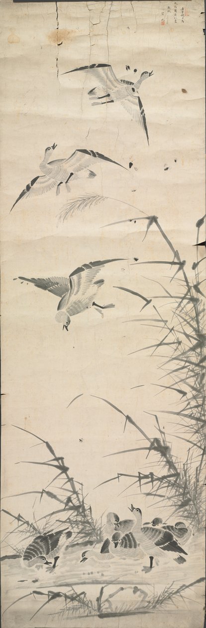 Yaban Kazları ve Sazlıklar by Korea, Joseon dynasty