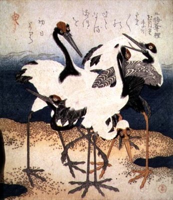 Beyaz Tüylü Beş Turna, Üç Yapraklı serisinden bir Kum Tükürüğü Üzerinde Çeşitli Pozlarda, 1816 dolayları (mürekkep) by Kubo Shumman
