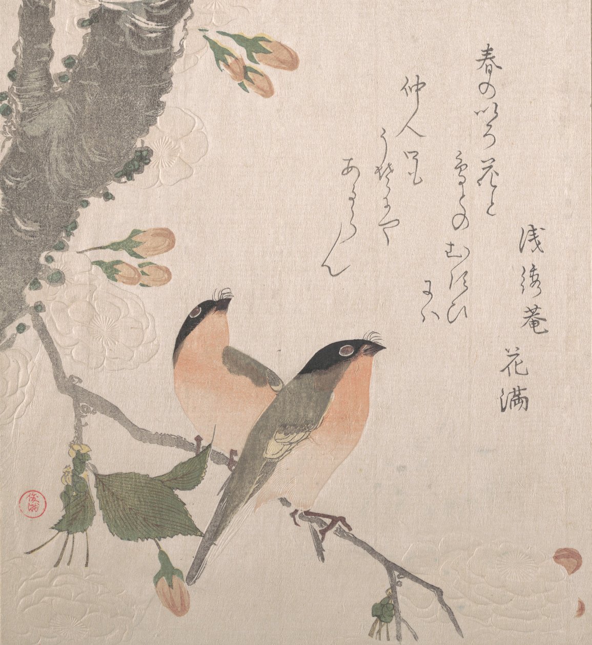Şakrakkuşları ve Kiraz Çiçekleri, 19. yüzyıl. by Kubo Shunman