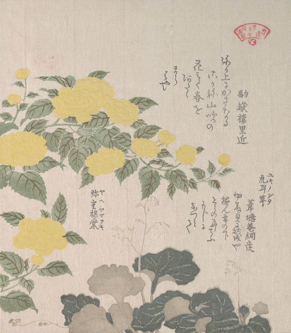 Corchorus veya Sarı Gül ve Sürünen Saxifrage, 19. yüzyıl. by Kubo Shunman