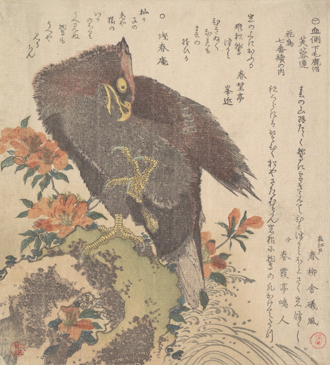 Kayadaki Kartal, Çiçekli Açelyalar, yak. 1800. by Kubo Shunman