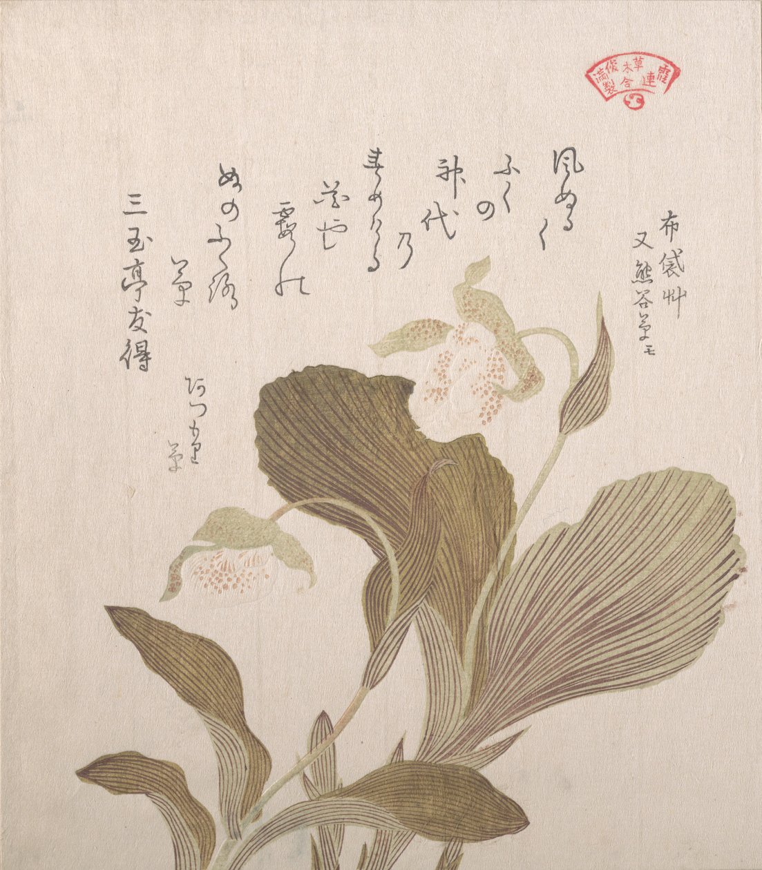 Hotei Çiçekleri, 19. yüzyıl. by Kubo Shunman