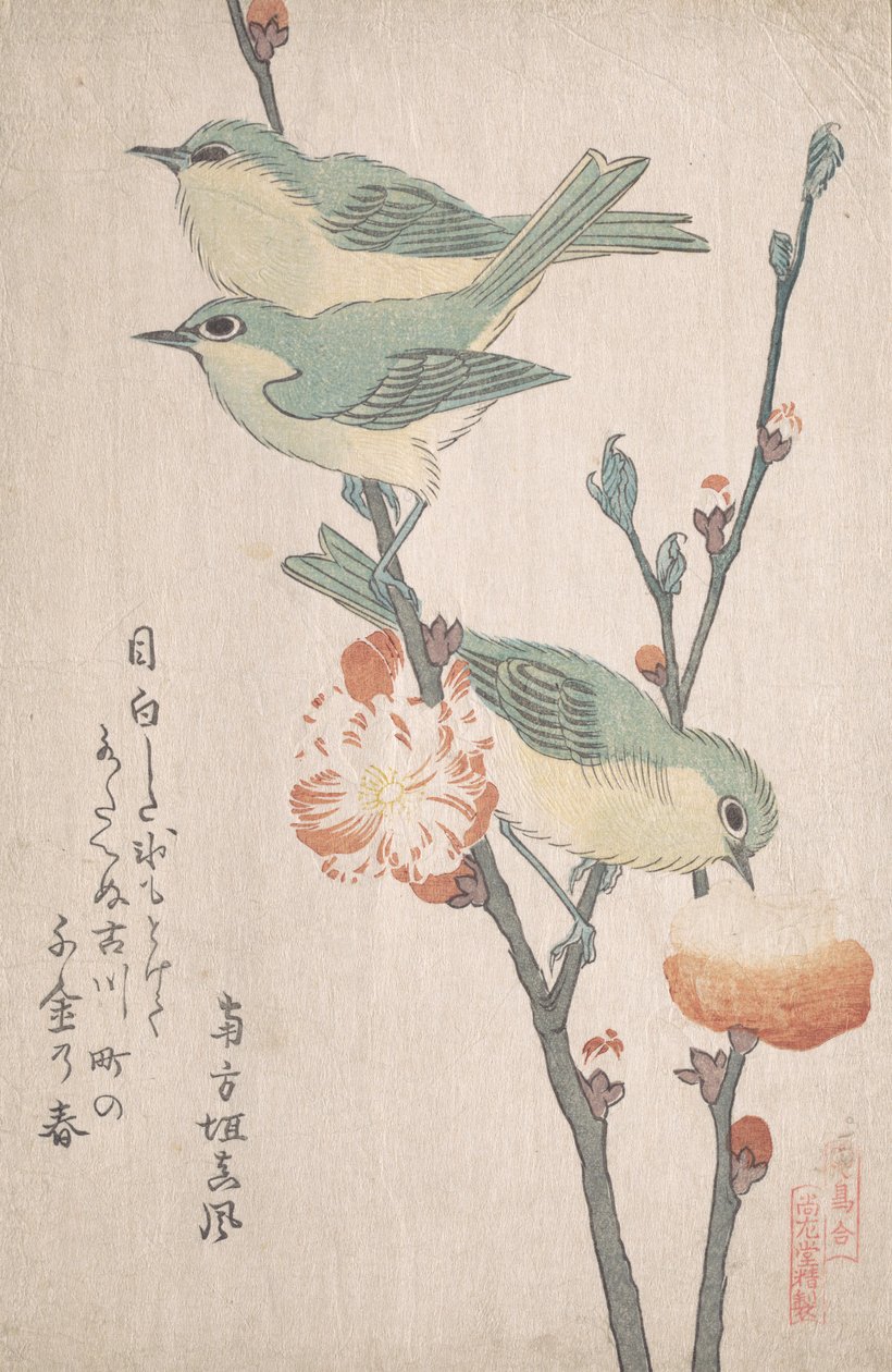 Şeftali Ağacının Dalındaki Japon Beyaz Gözleri,..., ca. 1805-10. by Kubo Shunman