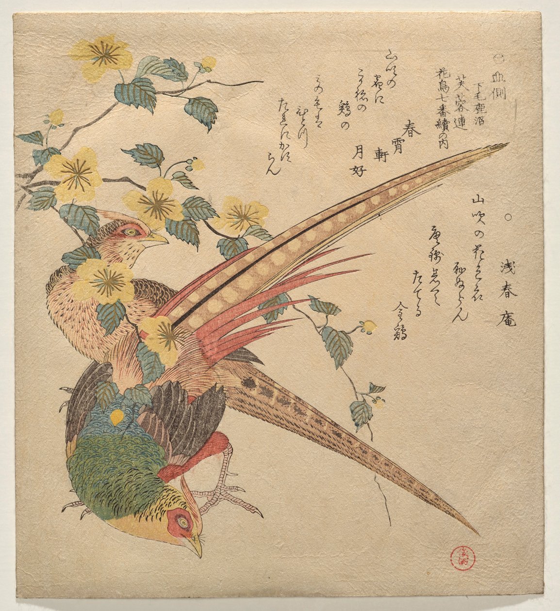 Çin sülünleri ve yamabuki çiçeklerinin bir dalı by Kubo Shunman