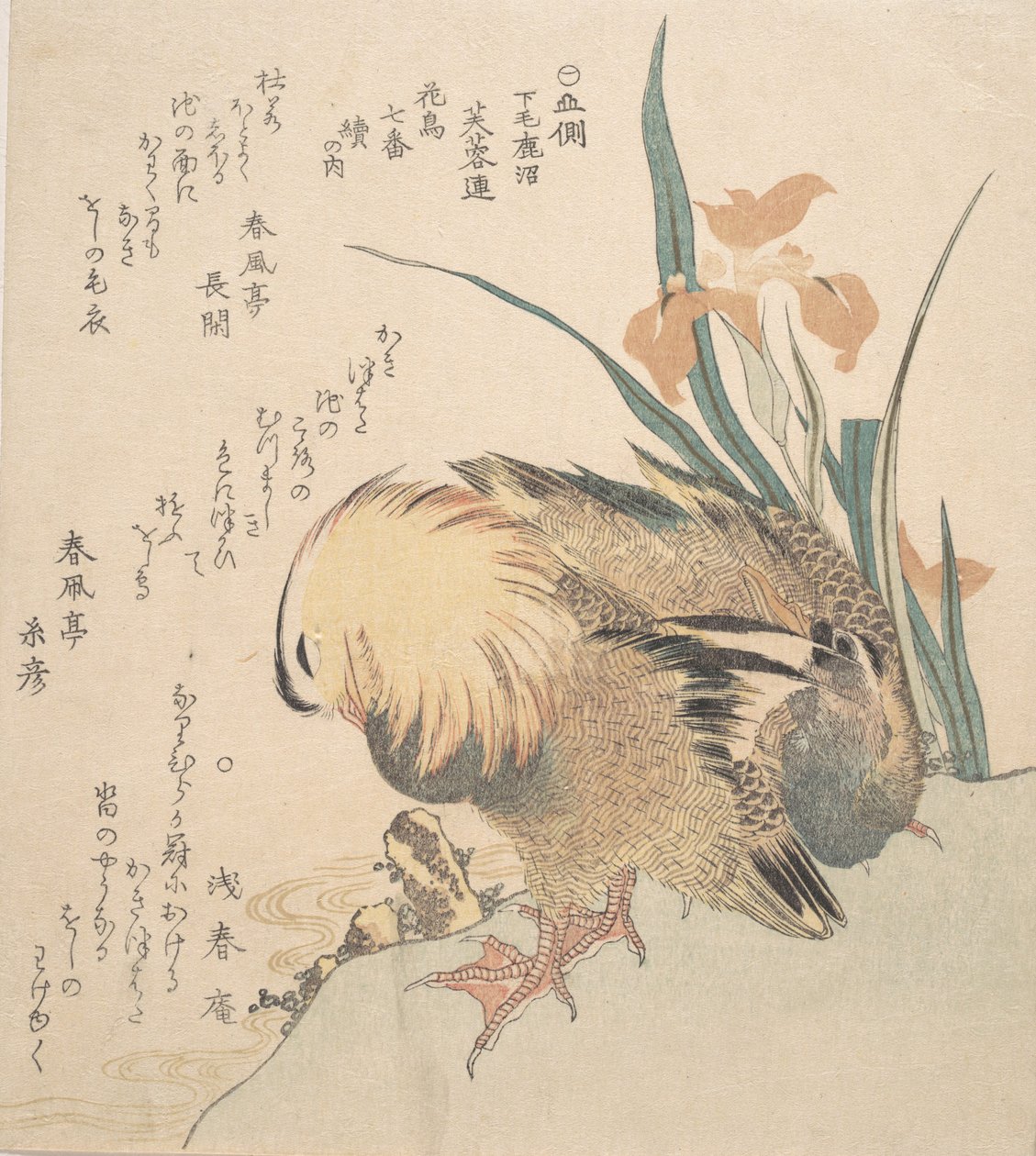 Mandarin Ördeği ve İris Çiçekleri çifti, 18. yüzyılın sonları ve 19. yüzyılın başlarında. by Kubo Shunman