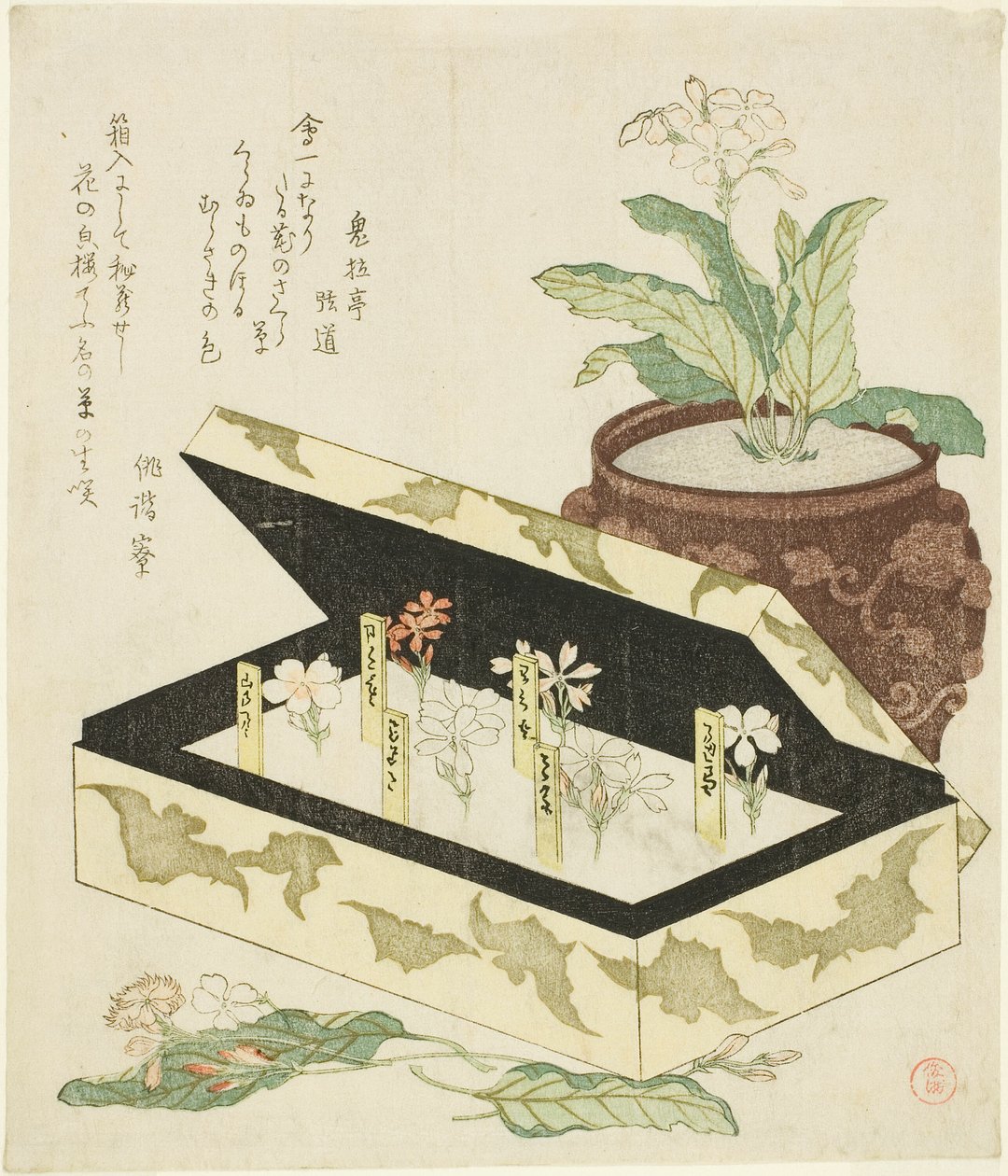 çuha çiçeği by Kubo Shunman