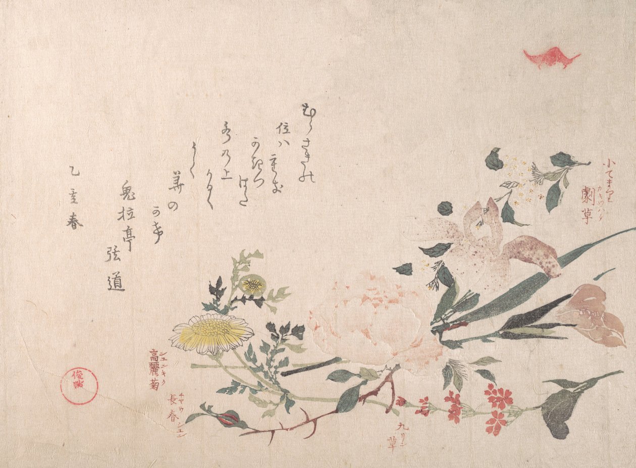 Gül, İris, Primrose ve Daisy, 1815. by Kubo Shunman
