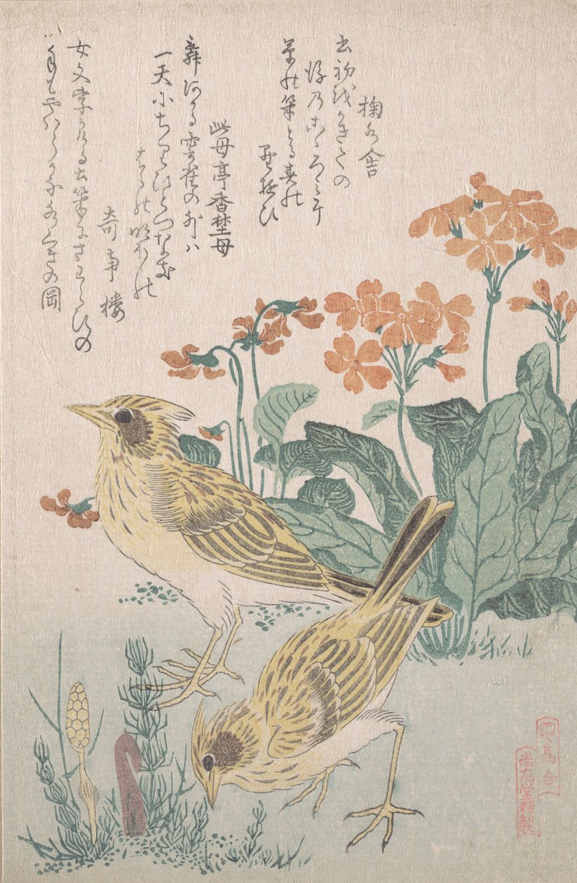 Skylarks ve Primroses..., ca. 1805-10. by Kubo Shunman