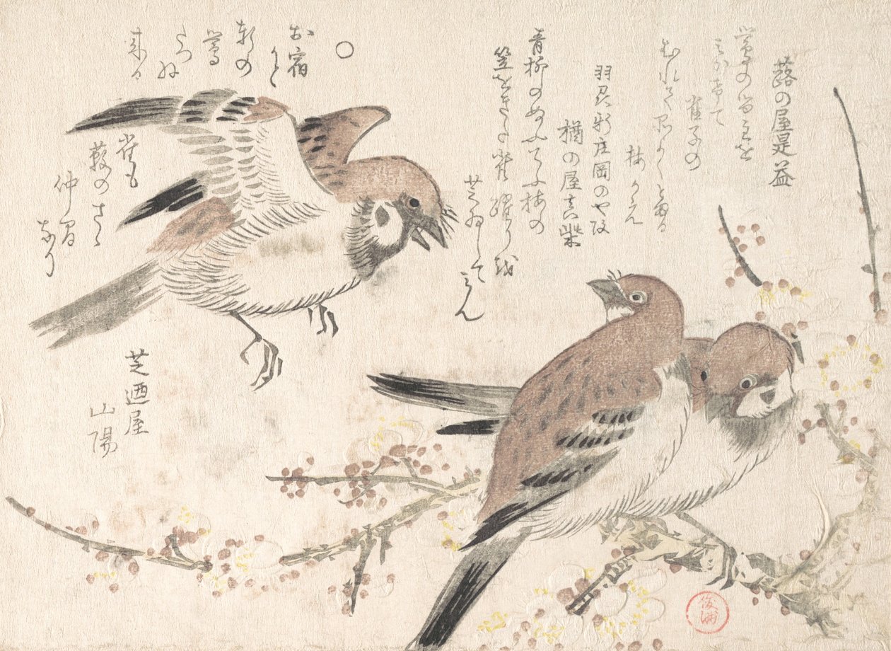 Serçeler ve Erik Çiçekleri, 19. yüzyıl. by Kubo Shunman