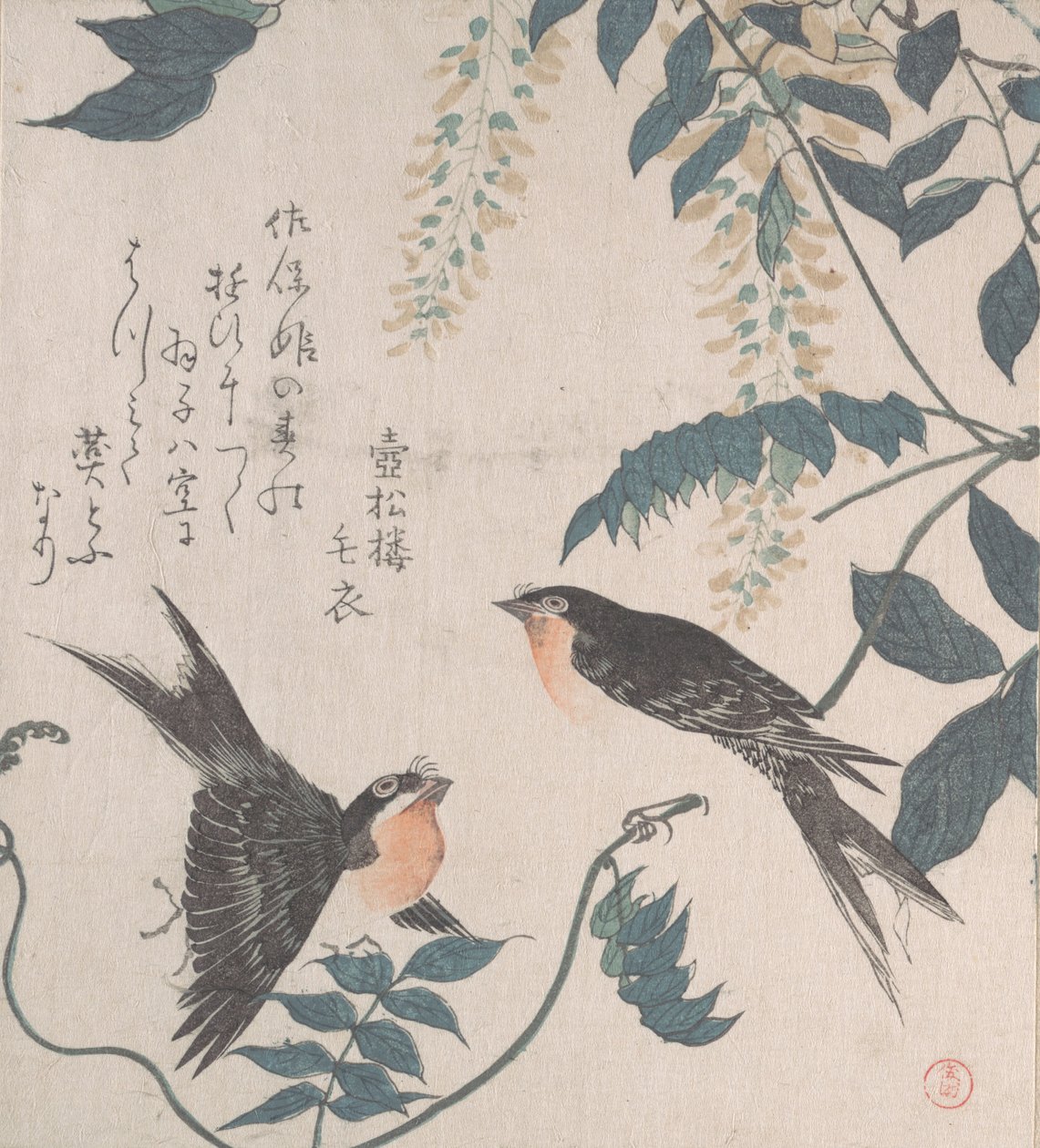 Kırlangıçlar ve Wisteria, 19. yüzyıl. by Kubo Shunman