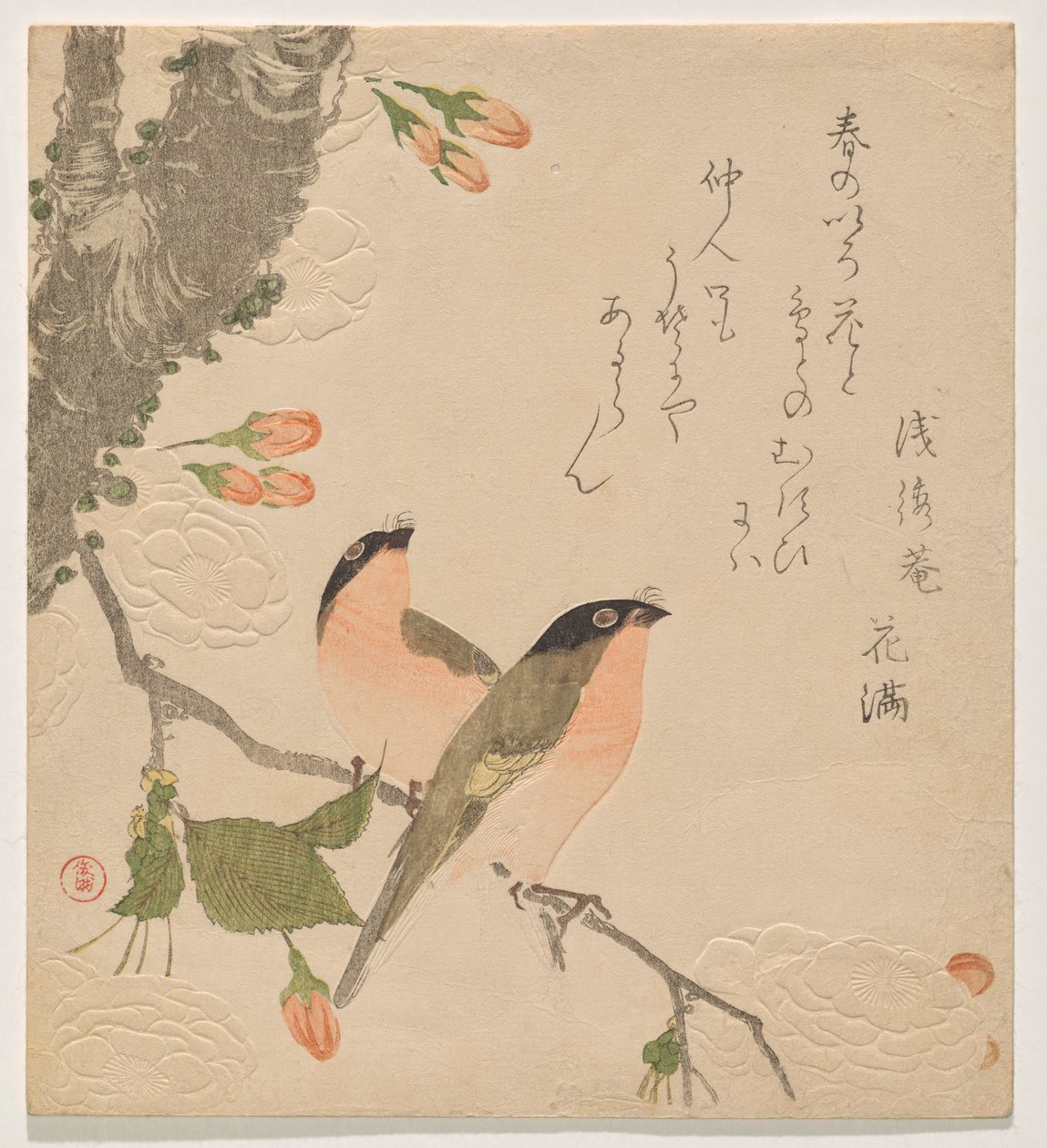 Çift Yapraklı Kiraz Ağacında İki Şakrak Kuşu (Uso ni Yae-zakura) by Kubo Shunman