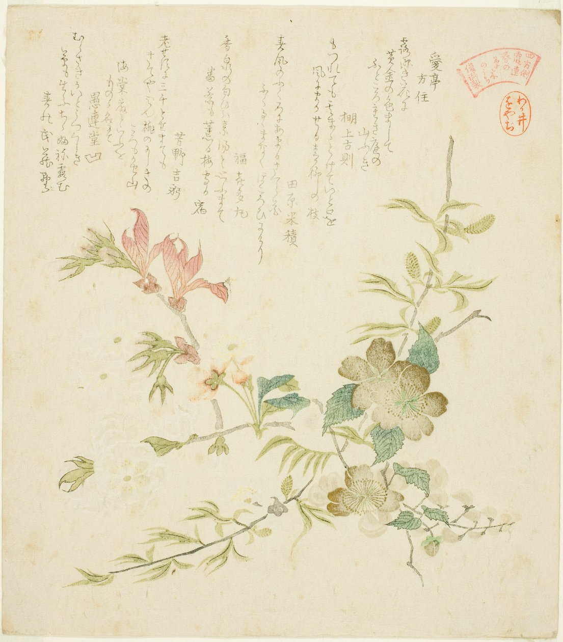 "Yomogawa Kasumi-ren haru no kusaki no uchi) "Yomogawa Kasumi-ren haru no kusaki no uchi) "İlkbahar Bitkileri ve Yomo Grubunun Kasumi Şiir Çevresi için Ağaçlar" serisinden çeşitli Bahar Çiçekleri by Kubo Shunman