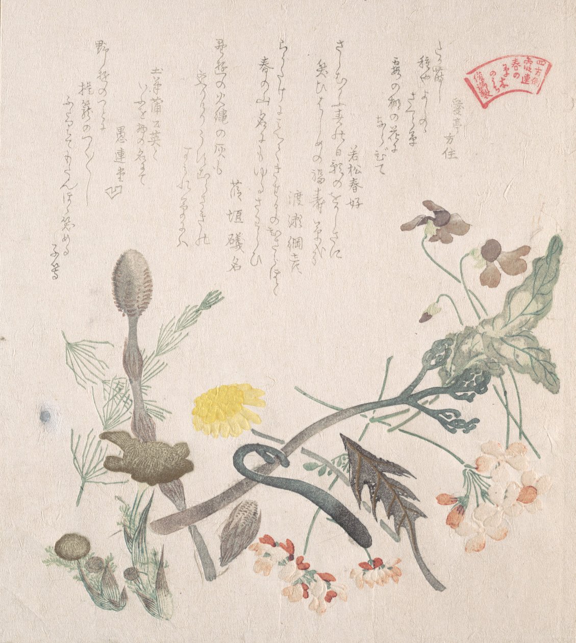 Menekşeler, Primroses ve Diğer Bahar Çiçekleri, 19. yüzyıl. by Kubo Shunman