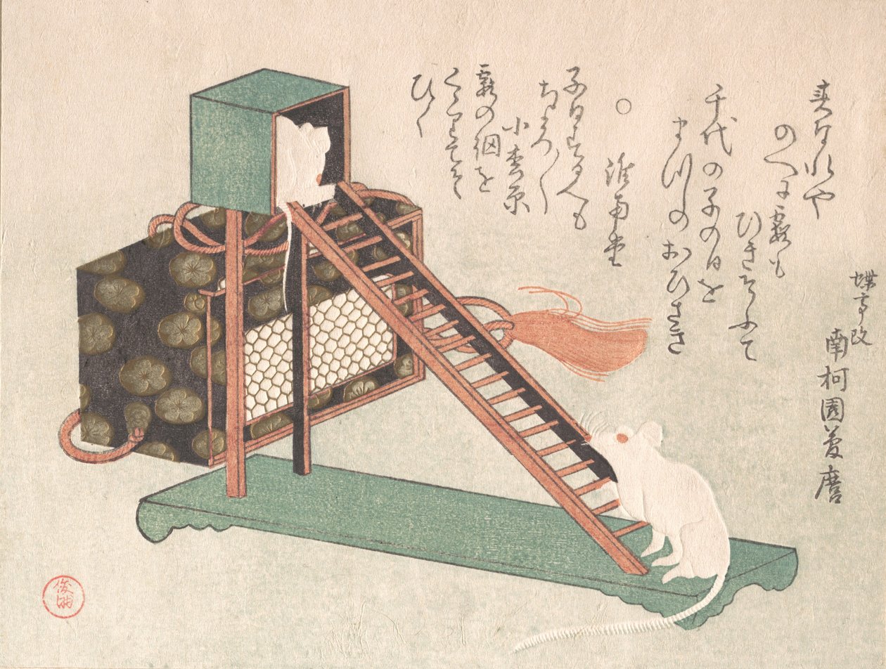 Beyaz Fareler Oynarken, muhtemelen 1816. by Kubo Shunman
