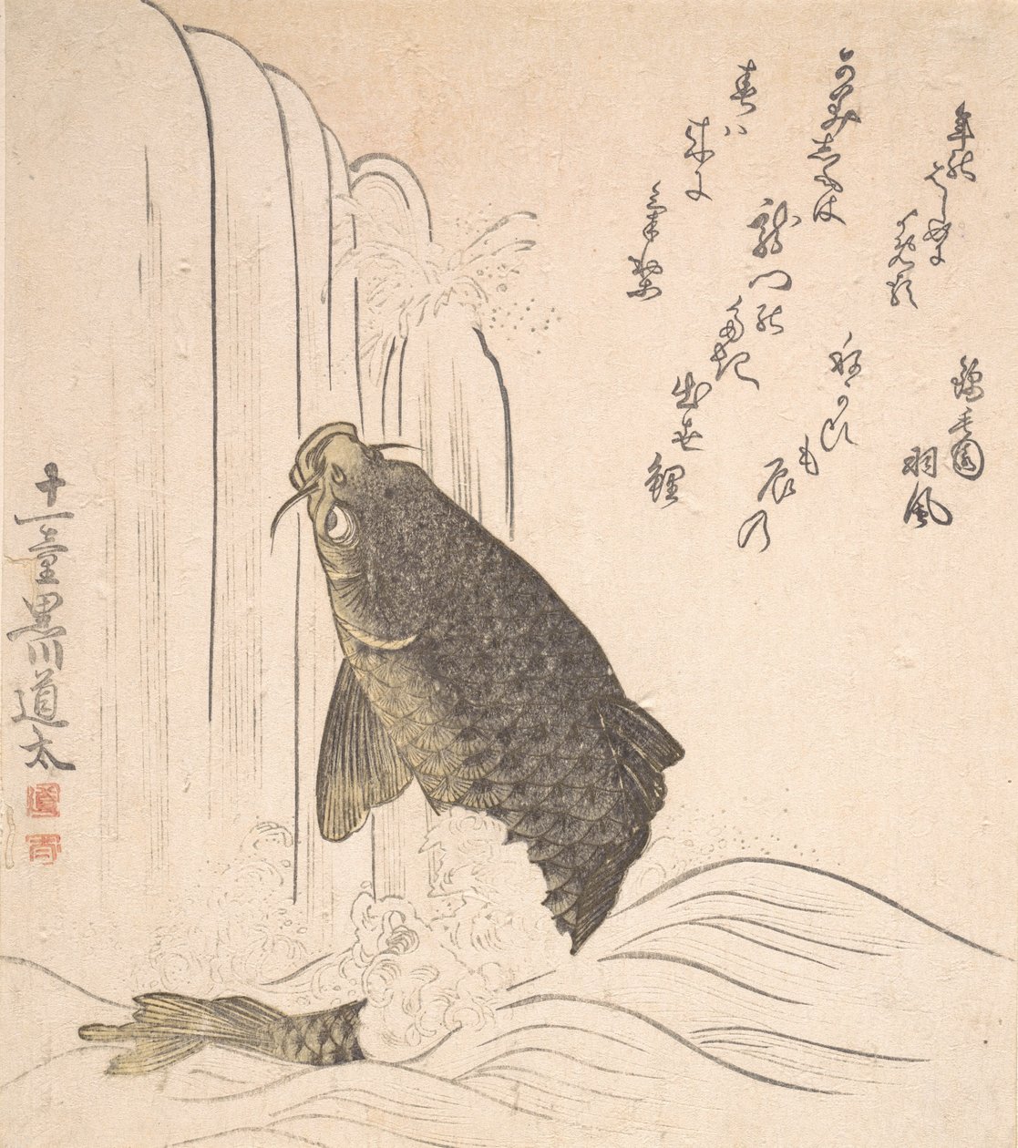 Sazan Şelalede Yüzmeye Çalışıyor, muhtemelen 1820. by Kurokawa Michita