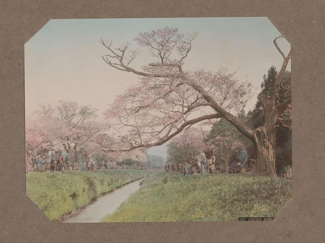 Koganei, Tokyo, Japonya