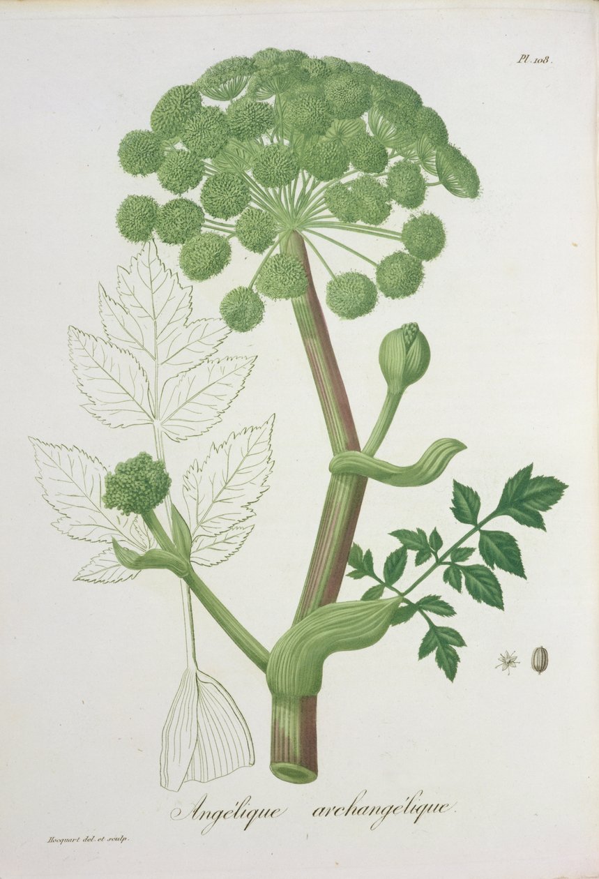 Joseph Roques (1772-1850) tarafından 1821