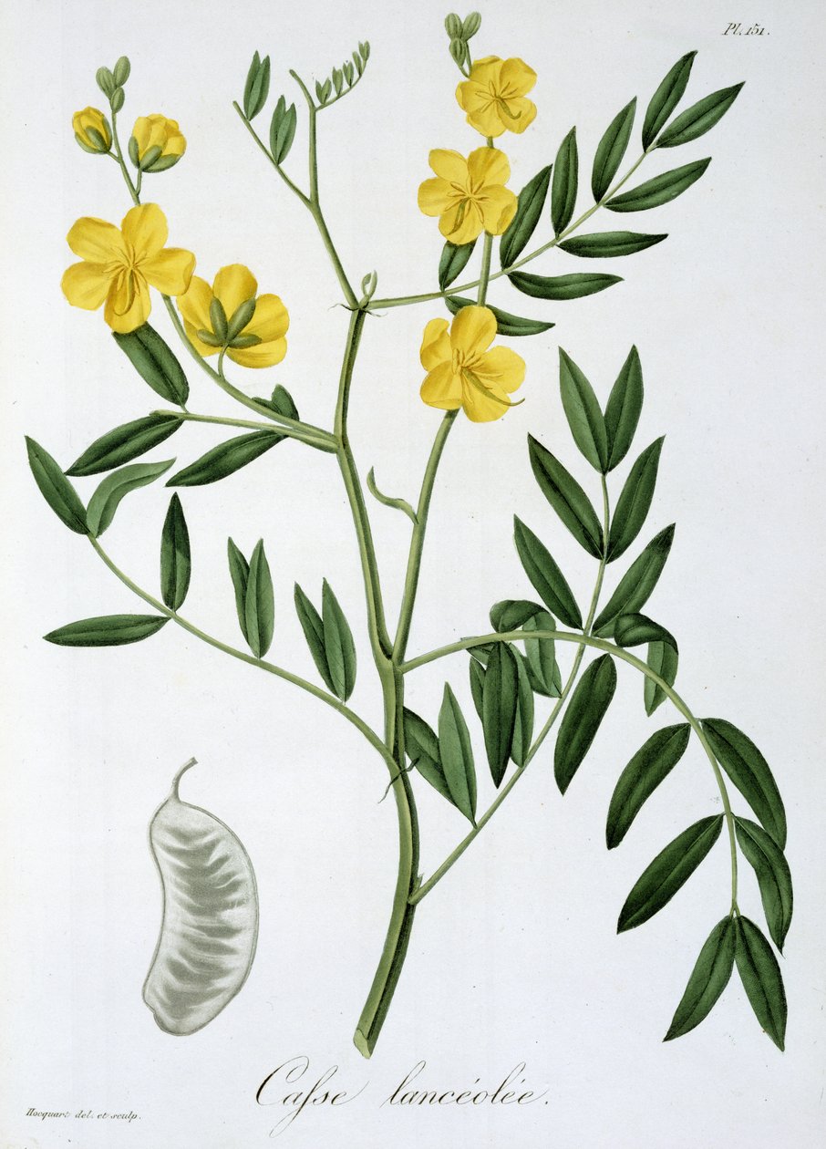 1821