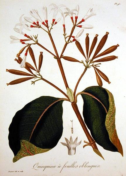 Joseph Roques (1772-1850) tarafından 