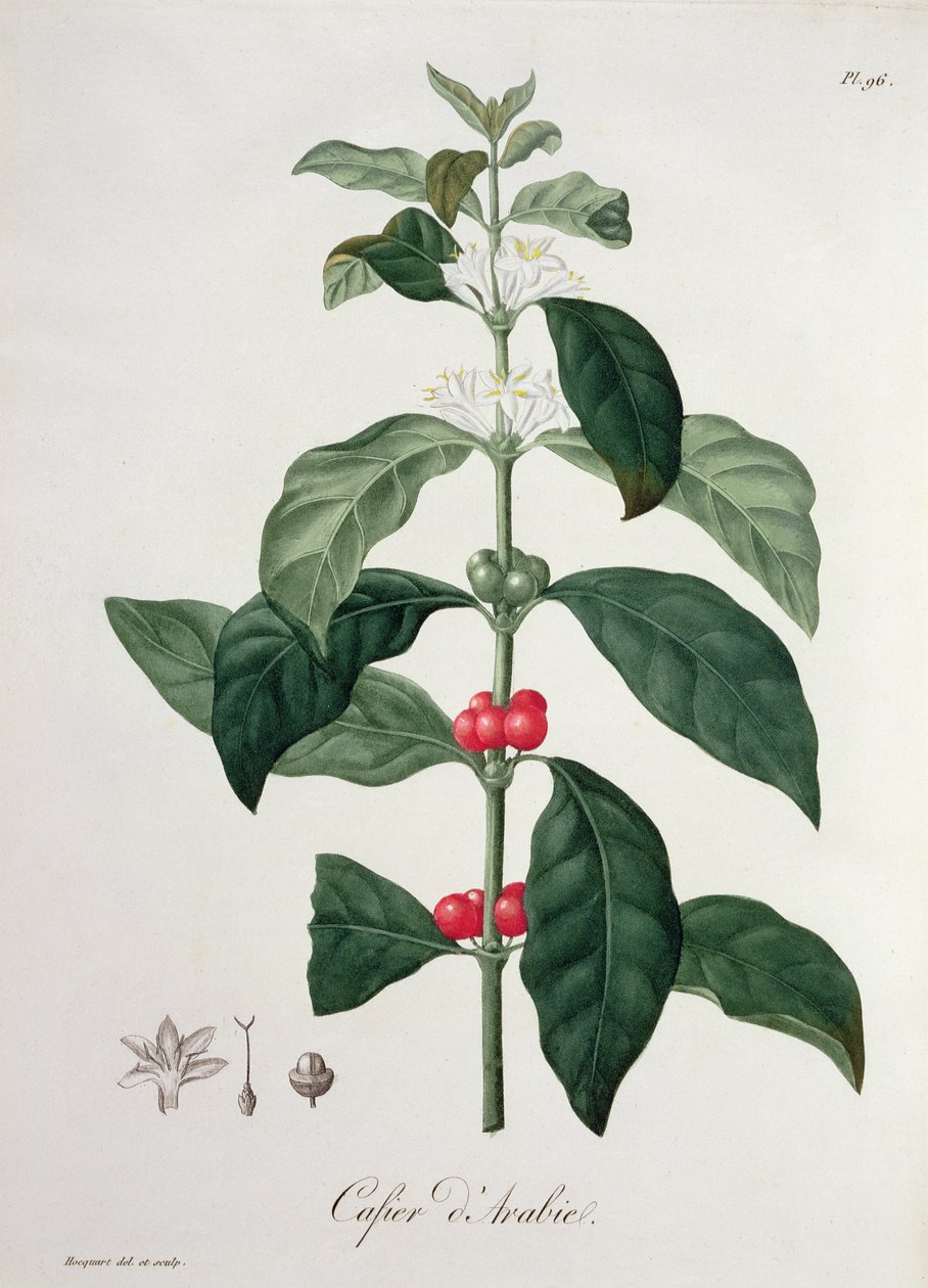 Joseph Roques (1772-1850) tarafından 1821