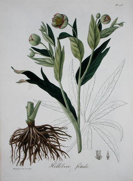 Joseph Roques (1772-1850) tarafından yazılan 