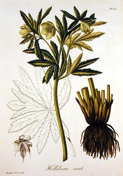 Joseph Roques (1772-1850) tarafından yazılan 