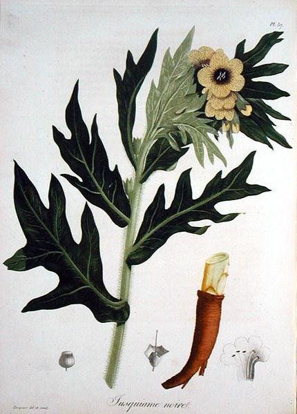 Joseph Roques (1772-1850) tarafından 