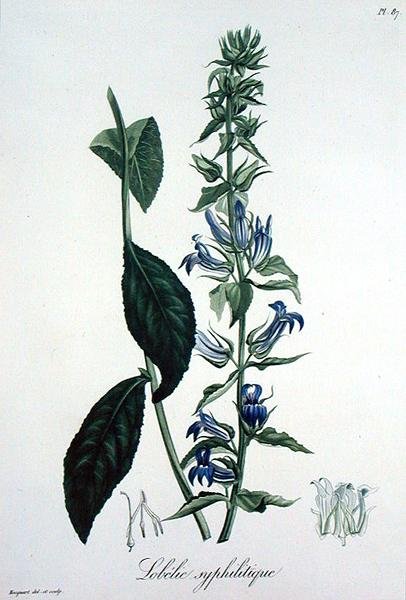Joseph Roques (1772-1850) tarafından 