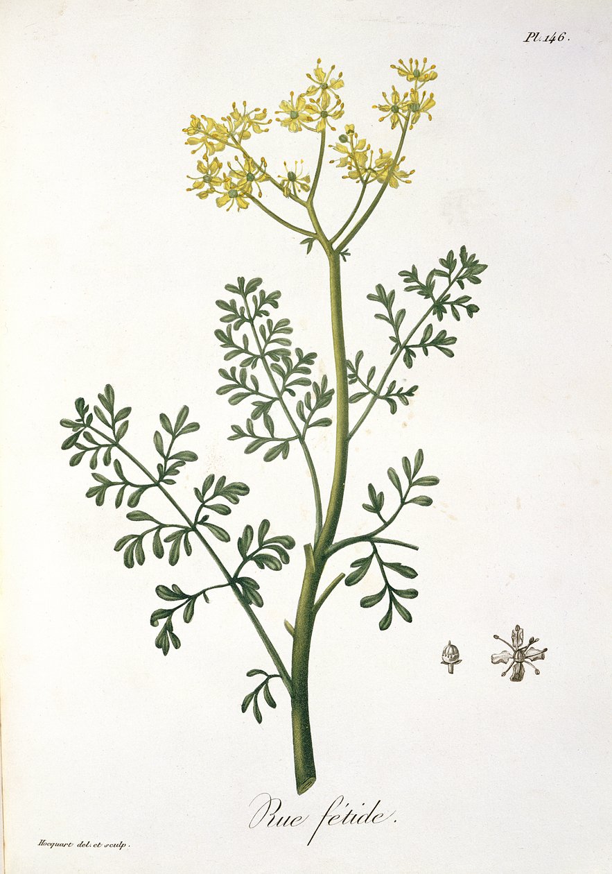 1821