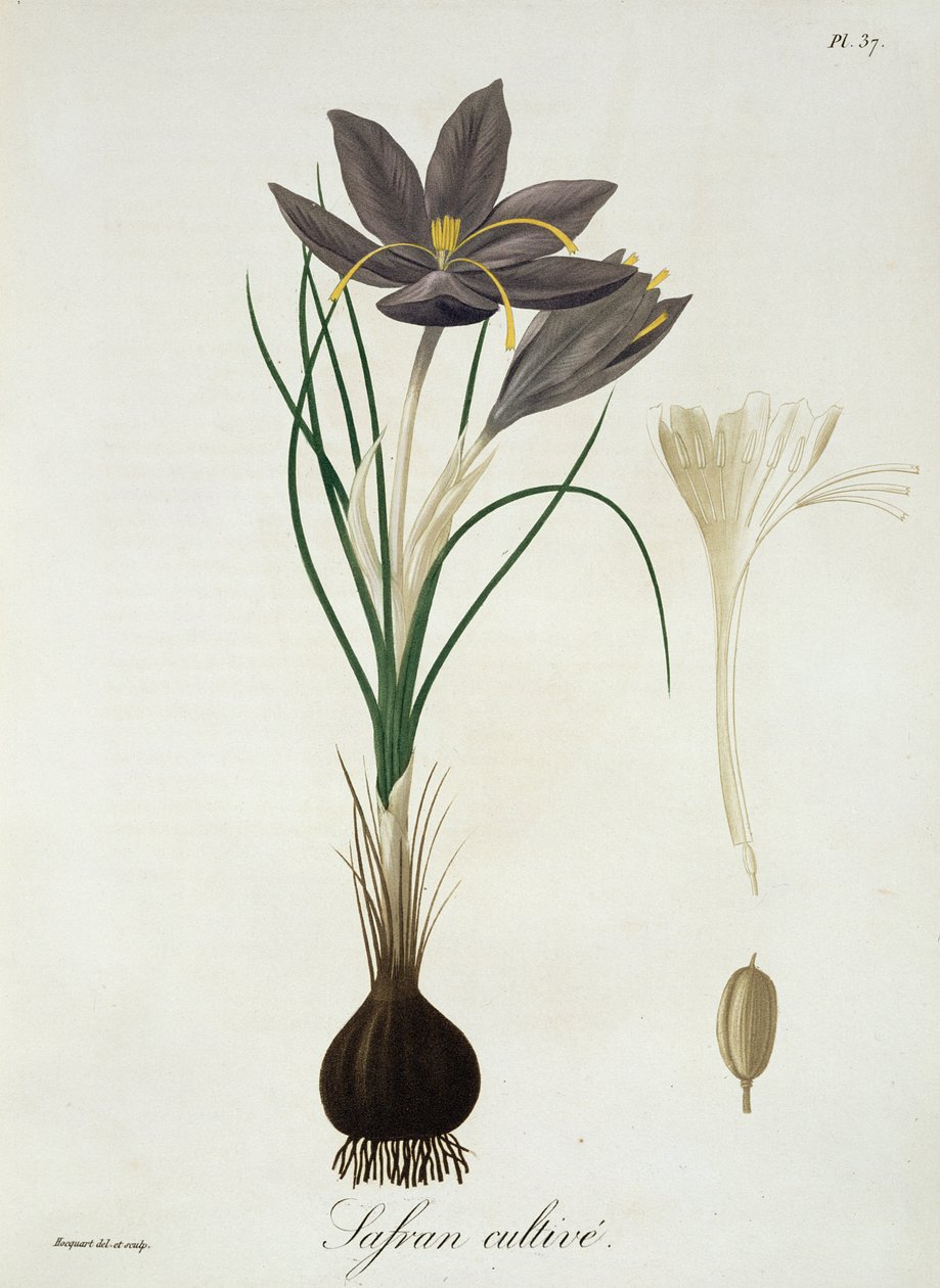 1821