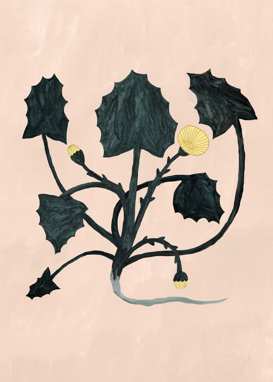  by Léa Le Pivert