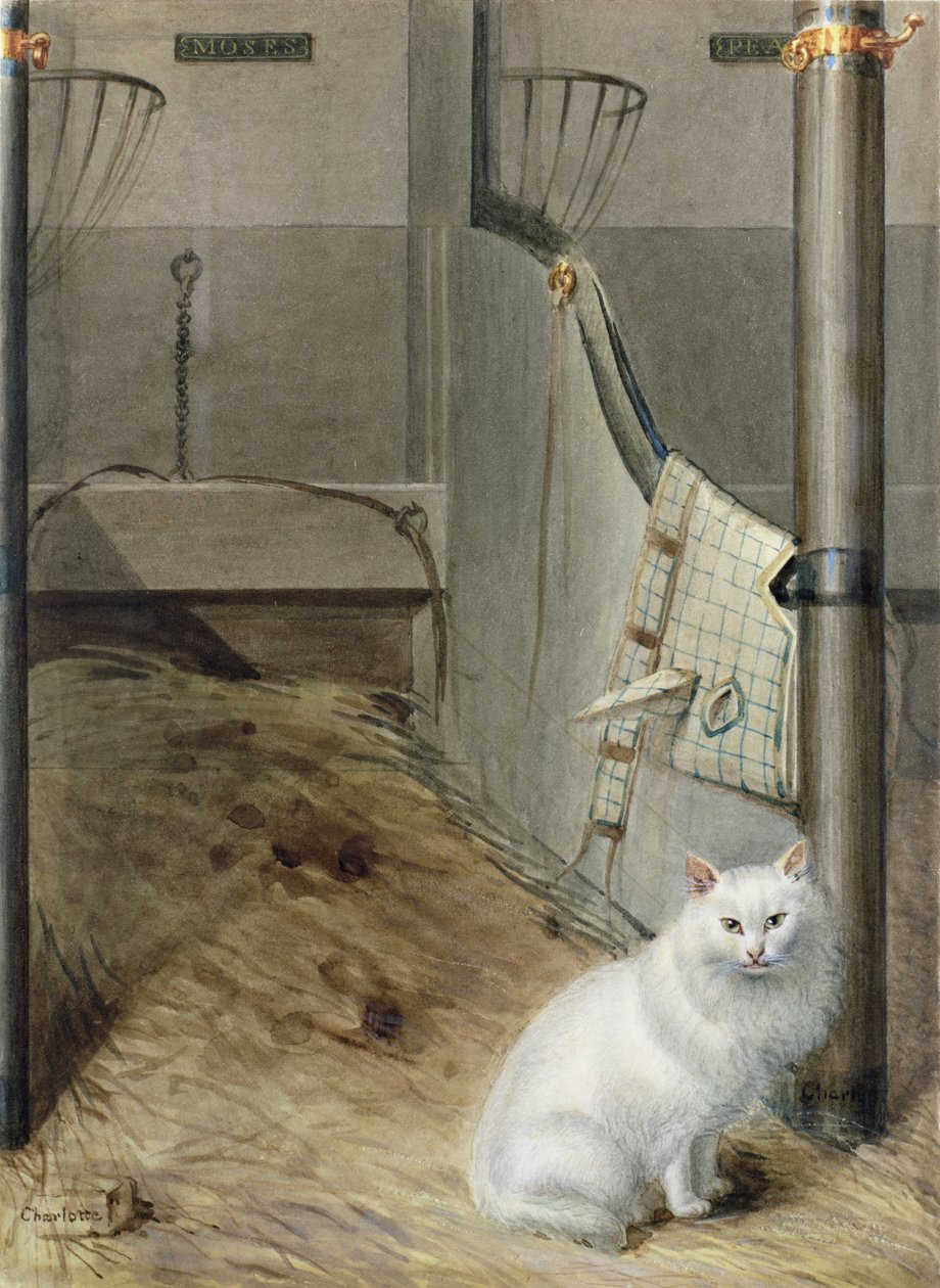 Ahırda Beyaz İran Kedisi by Lady Charlotte Schreiber