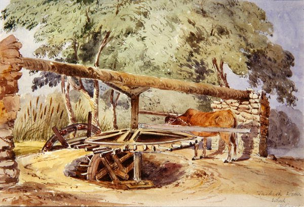 Türk Su Çarkı, Heliopolis by Lady Louisa Tennyson