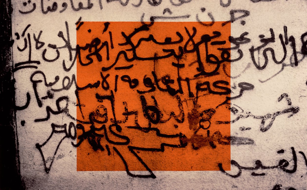 Filistin İçin Bir Silah, 1992 (tuval üzerine serigrafi) by Laila Shawa