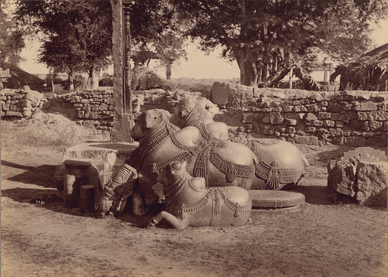  by Lala Deen Dayal